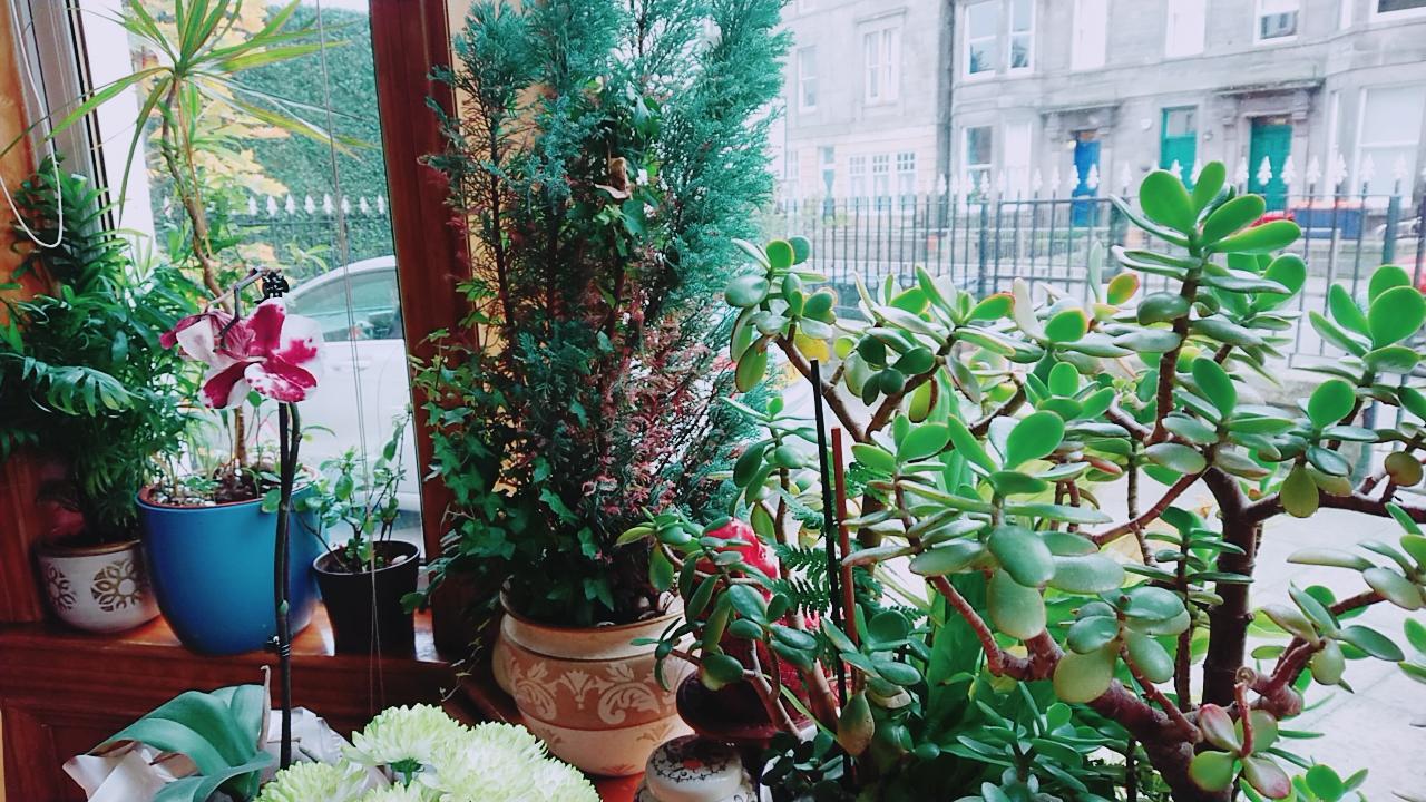 Swan Lake Guest House Edinburgh Dış mekan fotoğraf